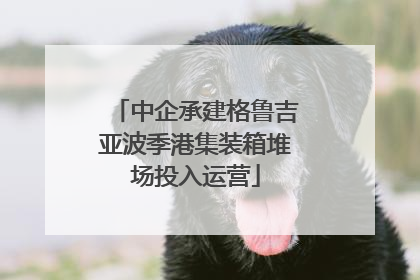 中企承建格鲁吉亚波季港集装箱堆场投入运营
