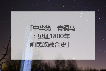 中华第一青铜马：见证1800年前民族融合史