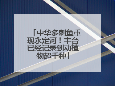 中华多刺鱼重现永定河！丰台已经记录到动植物超千种