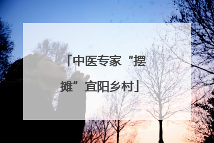 中医专家“摆摊”宜阳乡村