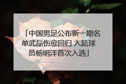 中国男足公布新一期名单武磊伤愈回归 入籍球员杨明洋首次入选
