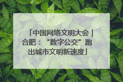 中国网络文明大会｜合肥：“数字公交”跑出城市文明新速度