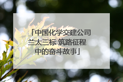 中国化学交建公司兰太三标 筑路征程中的奋斗故事