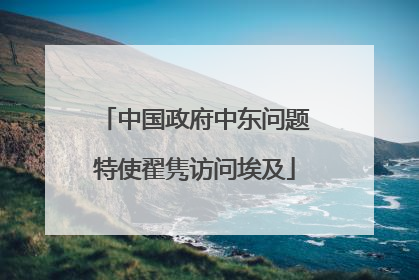 中国政府中东问题特使翟隽访问埃及