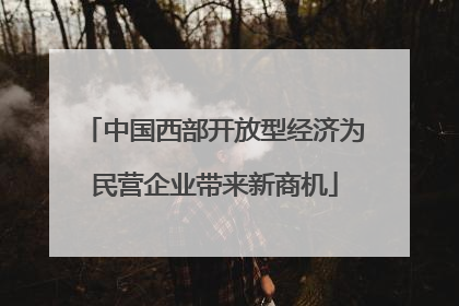 中国西部开放型经济为民营企业带来新商机