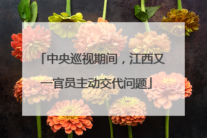 中央巡视期间，江西又一官员主动交代问题