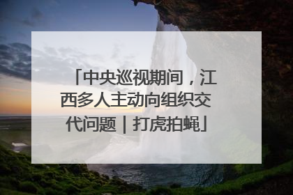 中央巡视期间，江西多人主动向组织交代问题｜打虎拍蝇