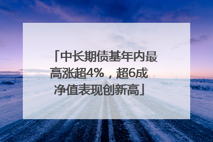 中长期债基年内最高涨超4%，超6成净值表现创新高