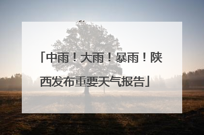 中雨！大雨！暴雨！陕西发布重要天气报告