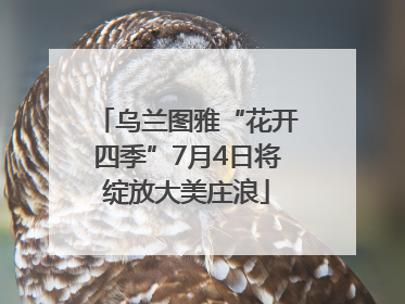 乌兰图雅“花开四季”7月4日将绽放大美庄浪