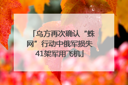 乌方再次确认“蛛网”行动中俄军损失41架军用飞机