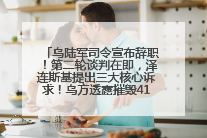 乌陆军司令宣布辞职！第二轮谈判在即，泽连斯基提出三大核心诉求！乌方透露摧毁41架俄战略轰炸机