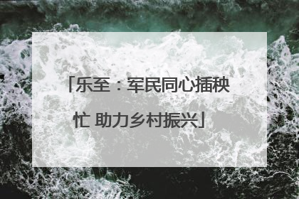 乐至：军民同心插秧忙 助力乡村振兴