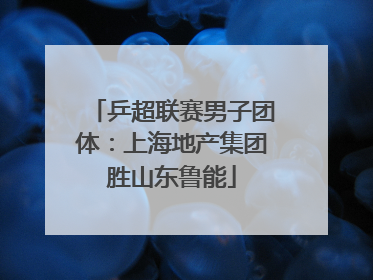 乒超联赛男子团体：上海地产集团胜山东鲁能