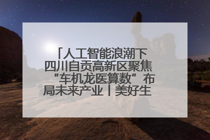 人工智能浪潮下 四川自贡高新区聚焦“车机龙医算数”布局未来产业丨美好生活有“盐”味