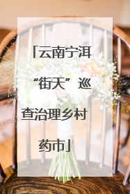 云南宁洱“街天”巡查治理乡村药市