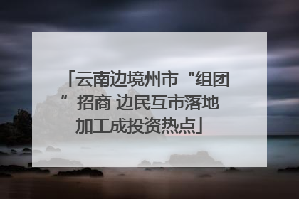 云南边境州市“组团”招商 边民互市落地加工成投资热点