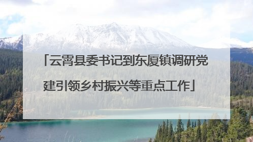 云霄县委书记到东厦镇调研党建引领乡村振兴等重点工作