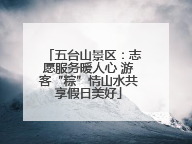五台山景区：志愿服务暖人心 游客“粽”情山水共享假日美好