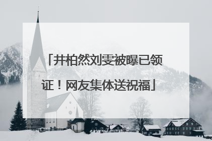 井柏然刘雯被曝已领证！网友集体送祝福