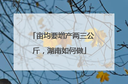 亩均要增产两三公斤，湖南如何做