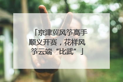 京津冀风筝高手顺义开赛，花样风筝云端“比武”