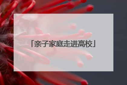 亲子家庭走进高校