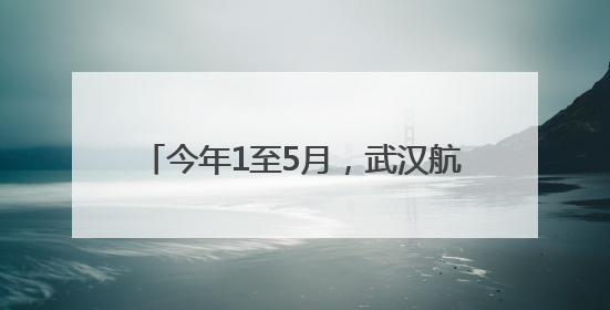 今年1至5月，武汉航空口岸免签入境外国人同比增长160.87%