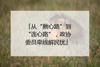 从“揪心路”到“连心路”，政协委员牵线解民忧