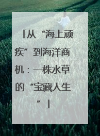 从“海上顽疾”到海洋商机：一株水草的“宝藏人生”