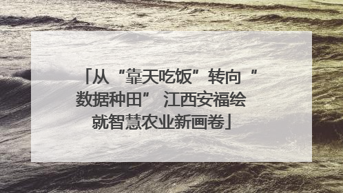 从“靠天吃饭”转向“数据种田” 江西安福绘就智慧农业新画卷