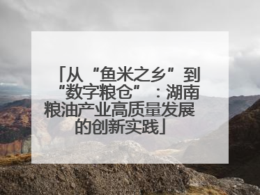 从“鱼米之乡”到“数字粮仓”：湖南粮油产业高质量发展的创新实践