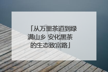 从万里茶道到绿满山乡 安化黑茶的生态致富路