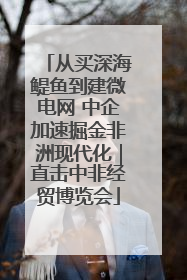 从买深海鳀鱼到建微电网 中企加速掘金非洲现代化｜直击中非经贸博览会