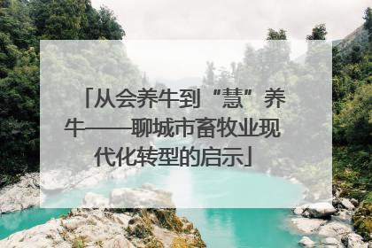 从会养牛到“慧”养牛——聊城市畜牧业现代化转型的启示