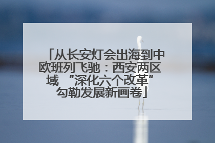 从长安灯会出海到中欧班列飞驰：西安两区域 “深化六个改革” 勾勒发展新画卷