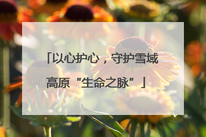 以心护心，守护雪域高原“生命之脉”