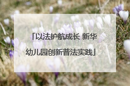 以法护航成长 新华幼儿园创新普法实践