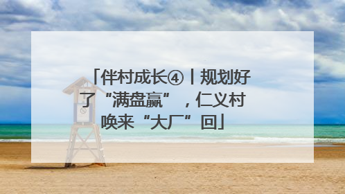 伴村成长④丨规划好了“满盘赢”，仁义村唤来“大厂”回