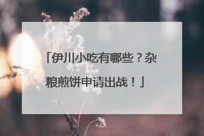 伊川小吃有哪些？杂粮煎饼申请出战！