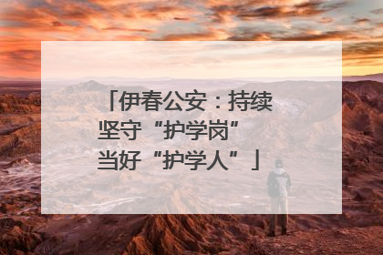 伊春公安：持续坚守“护学岗” 当好“护学人”