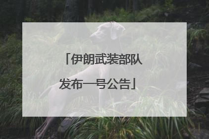 伊朗武装部队发布一号公告