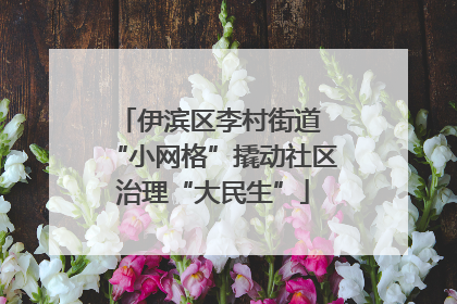 伊滨区李村街道 “小网格”撬动社区治理“大民生”