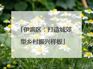 伊滨区：打造城郊型乡村振兴样板