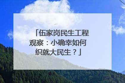 伍家岗民生工程观察：小确幸如何织就大民生？