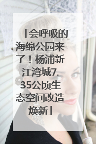会呼吸的海绵公园来了！杨浦新江湾城7.35公顷生态空间改造焕新