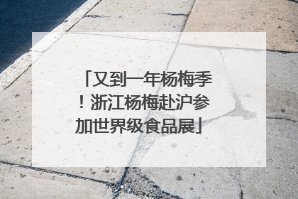 又到一年杨梅季！浙江杨梅赴沪参加世界级食品展
