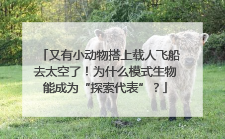 又有小动物搭上载人飞船去太空了！为什么模式生物能成为“探索代表”？