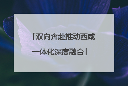 双向奔赴推动西咸一体化深度融合