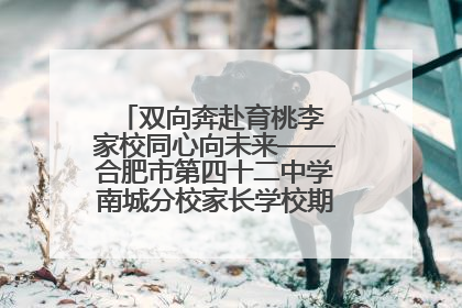双向奔赴育桃李 家校同心向未来——合肥市第四十二中学南城分校家长学校期末总结会圆满召开